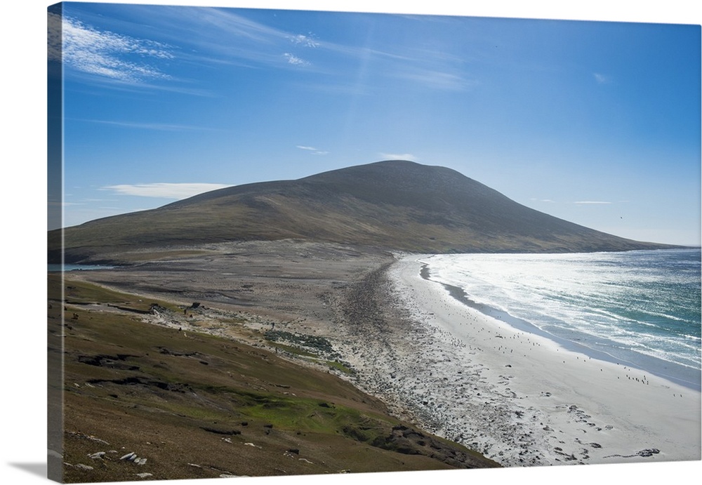 The Neck isthmus on Saunders Island, Falklands, South America