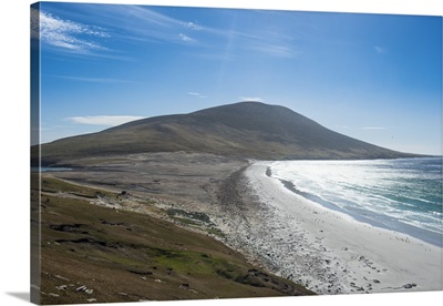 The Neck isthmus on Saunders Island, Falklands