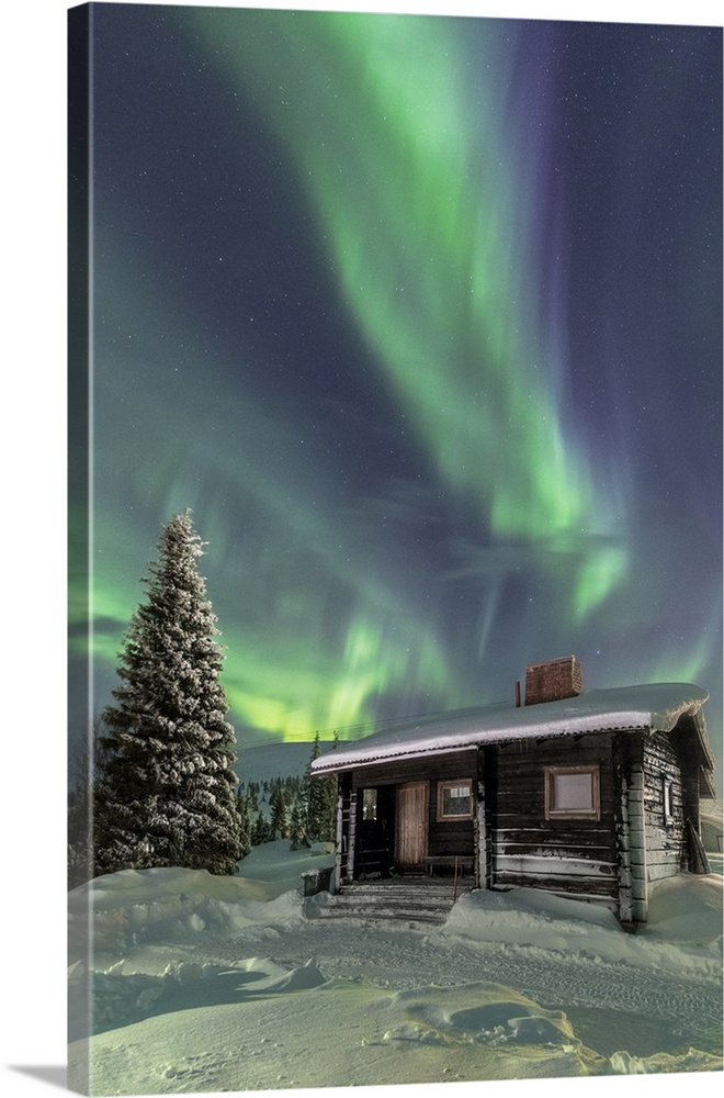 The Northern Lights frame the wooden hut in the snowy woods, Pallas, Yllastunturi National Park, Lapland region, Finland