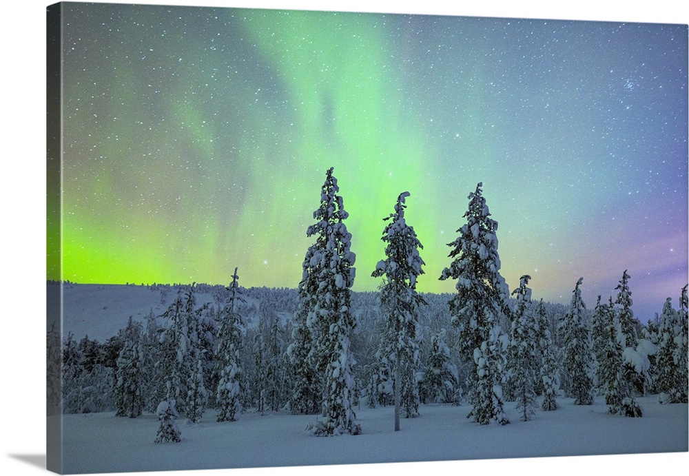 The Northern Lights (Aurora borealis) illuminate the sky near Luosto during a cold winter night, Luosto, Finland, Europe