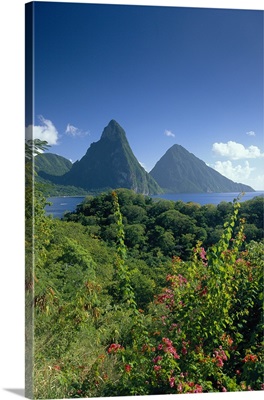 The Pitons, St.Lucia, Caribbean
