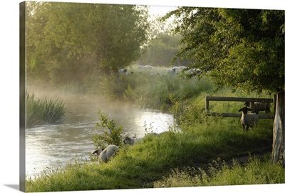 The River Windrush near Burford, Oxfordshire, The Cotswolds, England, UK