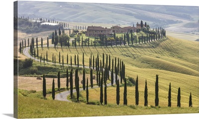 The road curves in the green hills surrounded by cypresses, Crete Senesi, Tuscany, Italy