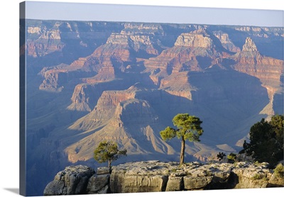 The south rim of the Grand Canyon, Arizona