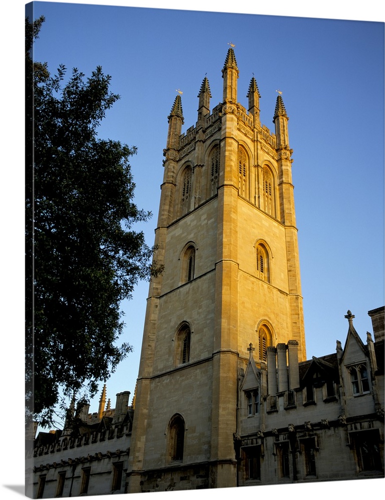 The tower of Magdalen College at sunrise, Oxford, Oxfordshire, England