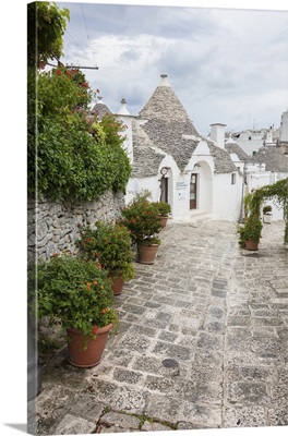 The typical Trulli built with dry stone with a conical roof, Alberobello, Apulia, Italy
