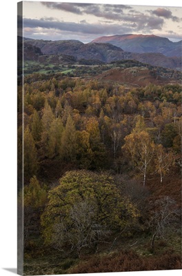 The view at twilight from Holme Fell, Lake District National Park, Cumbria, England