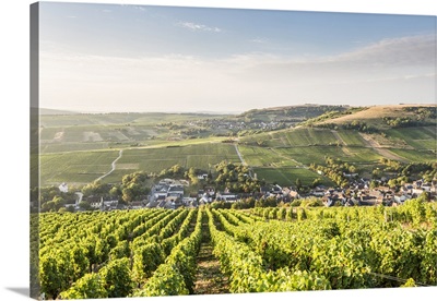 The vineyards of Sancerre above Chavignol, Cher, Centre, France