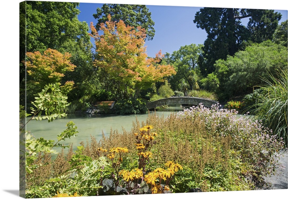 The Water Garden, Christchurch Botanic Gardens, Christchurch, Canterbury, South Island, New Zealand, Pacific