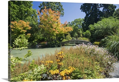 The Water Garden, Christchurch Botanic Gardens, New Zealand