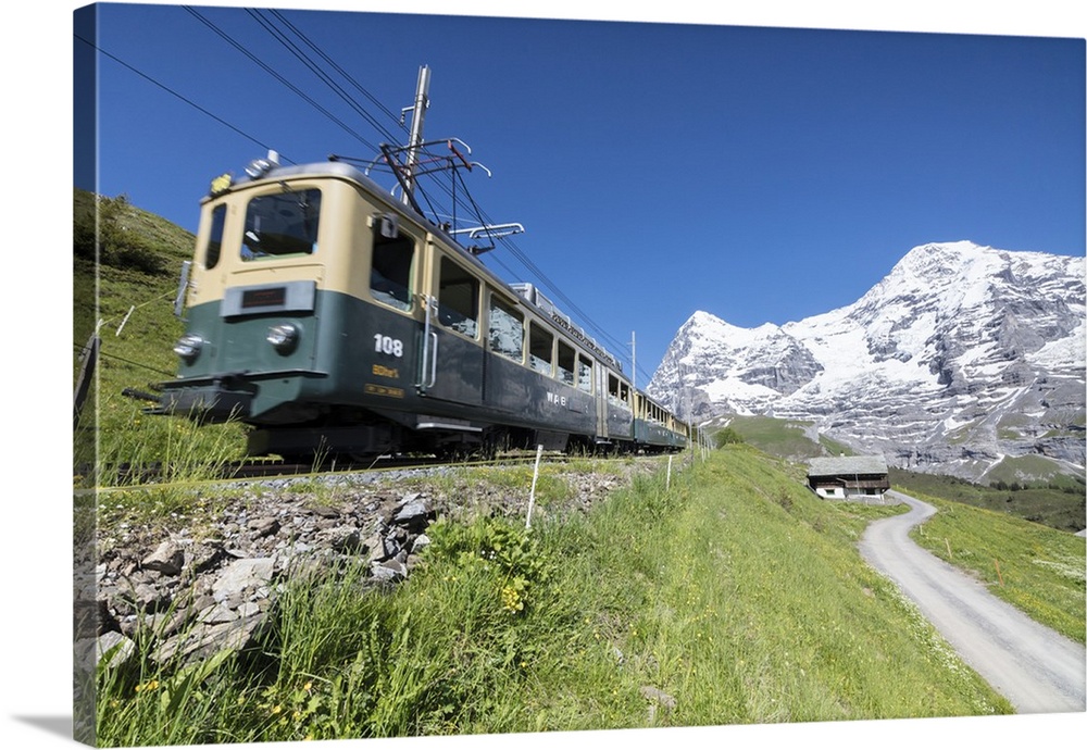 The Wengernalpbahn rack railway runs across meadows and snowy peaks, Wengen, Bernese Oberland, Canton of Bern, Switzerland...