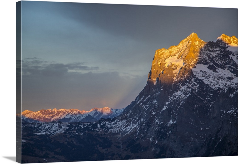 The Wetterhorn from Kleine Scheidegg, Jungfrau region, Bernese Oberland, Swiss Alps, Switzerland, Europe