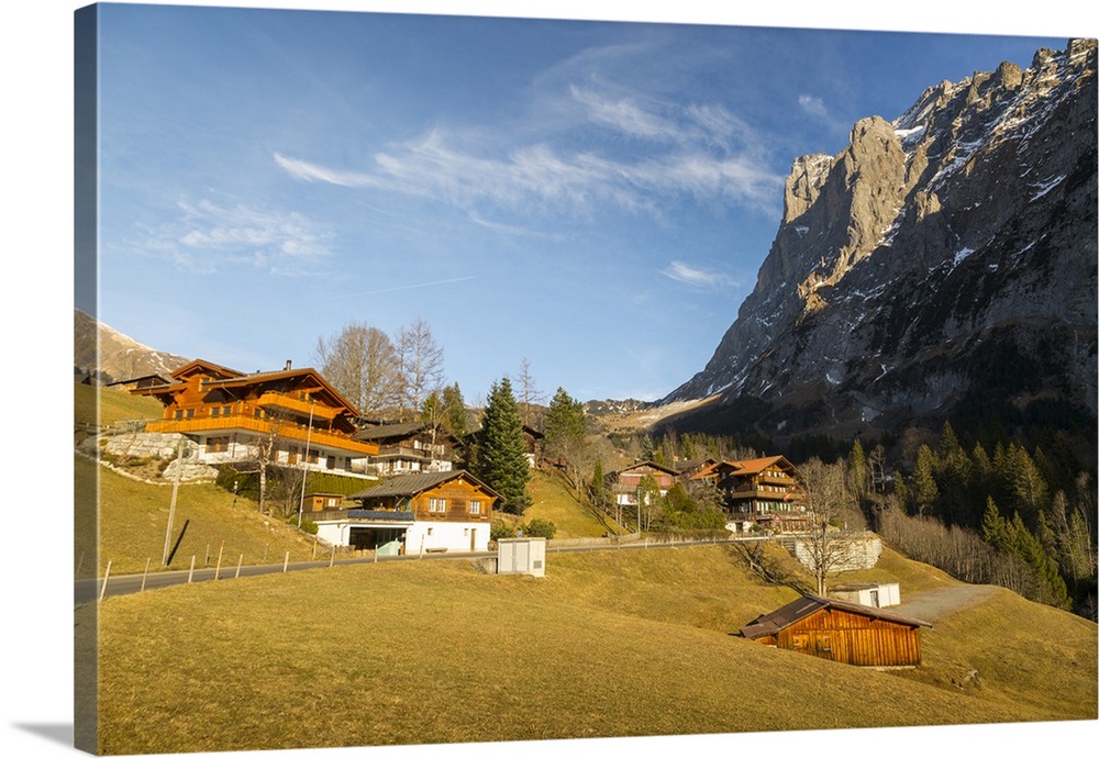 The Wetterhorn, Grindelwald, Jungfrau region, Bernese Oberland, Swiss Alps, Switzerland, Europe