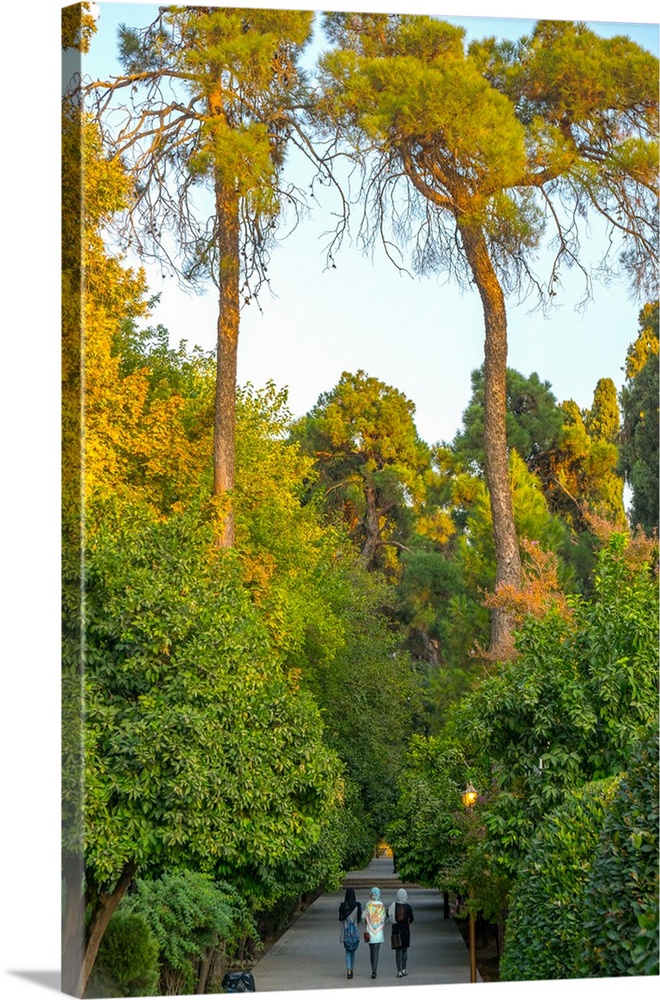 Three Iranian women walking through the Bagh-e Eram (Garden of Paradise), Shiraz, Iran, Middle East