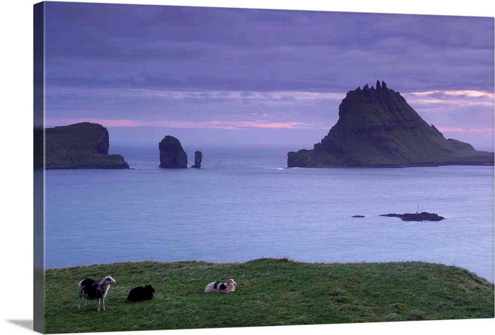 Tindholmur Island rising to 262 m, and Drangarnir natural arch at sunset, with sheep, from Vagar, Faroe Islands , Denmark