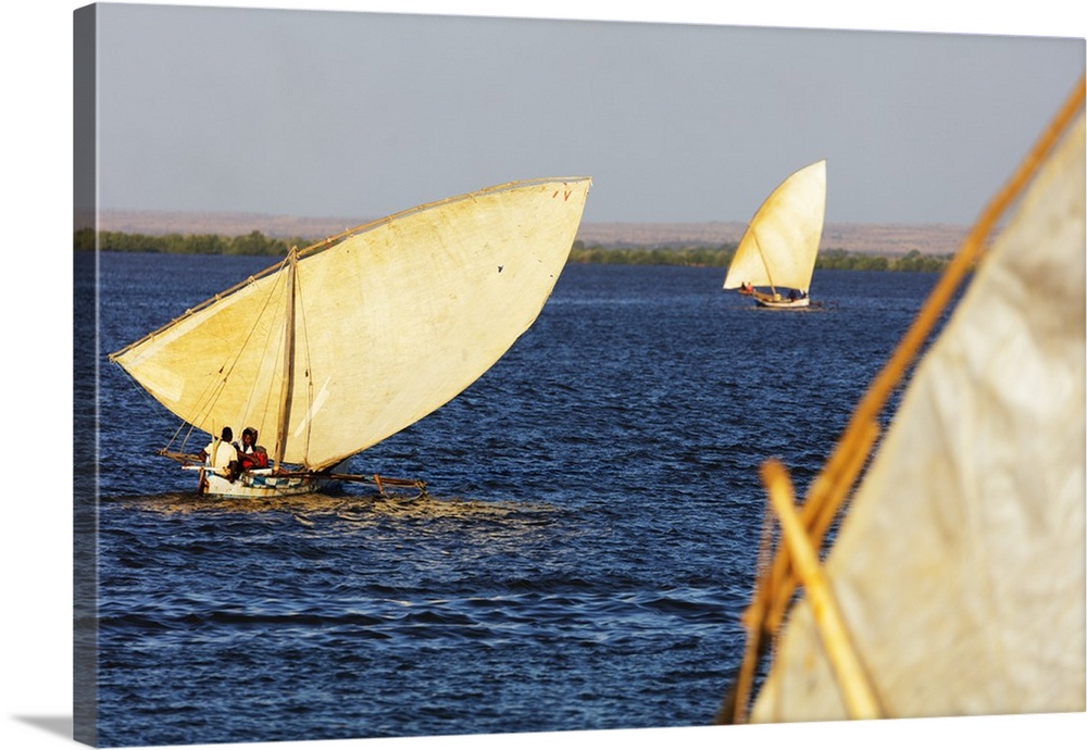 Traditional sail boats, Majunga (Mahajanga), western area, Madagascar, Africa