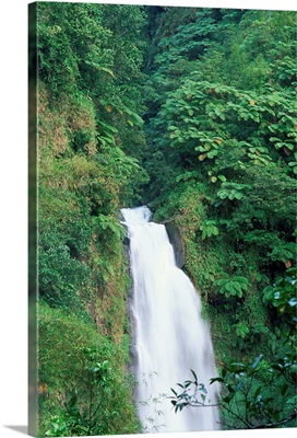 Trafalgar Falls, Roseau region, island of Dominica, West Indies, Caribbean