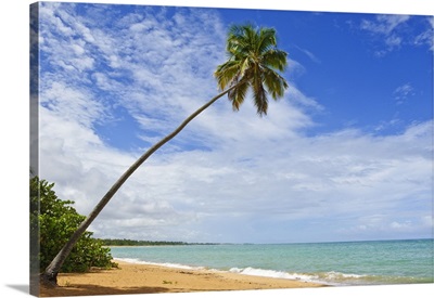 Tres Palmitas Beach, Puerto Rico, West Indies, Caribbean, Central America