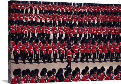 Trooping the Colour, London, England, United Kingdom, Europe