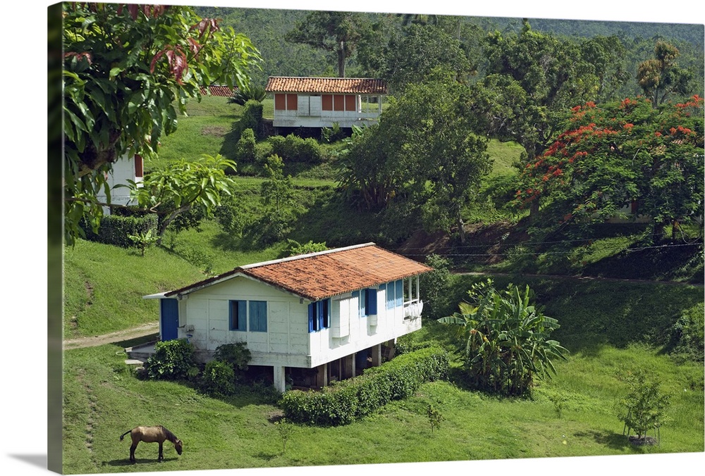 Typical bungalows in the mountain community, Pinar del Rio, Cuba