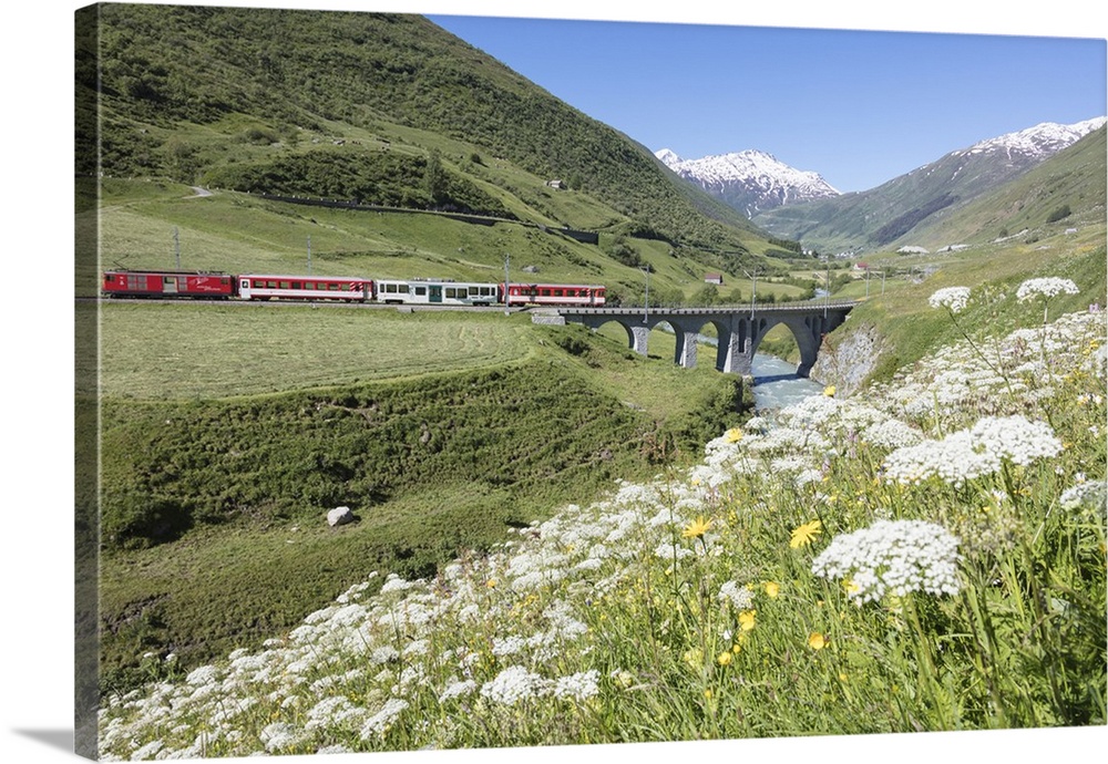 Typical red Swiss train on Hospental Viadukt surrounded by creek and blooming flowers, Andermatt, Canton of Uri, Switzerla...