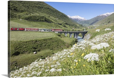 Typical red Swiss train on Hospental Viadukt surrounded by creek and blooming flowers