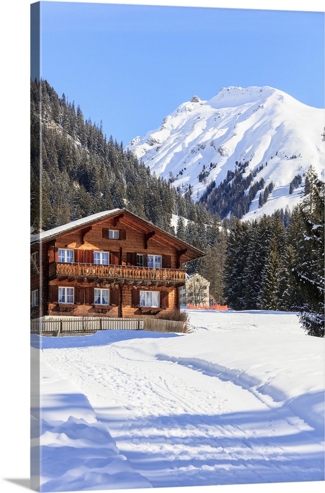 Typical wooden hut framed by woods and snowy peaks, Langwies, district of Plessur, Canton of Graubunden, Swiss Alps, Switz...