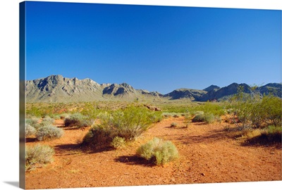 Valley of Fire State Park, Mojave Desert, Nevada