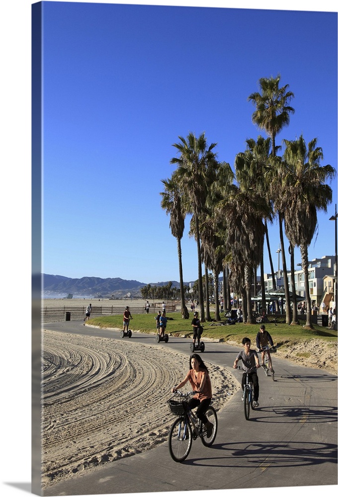 Venice Beach, Los Angeles, California, United States of America, North America