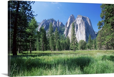 View across meadows to Cathedral Rocks, Yosemite National Park, California, USA