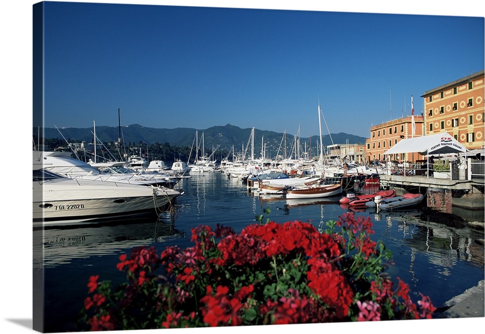 View across the harbour, Santa Margherita Ligure, Portofino Peninsula, Liguria, Italy