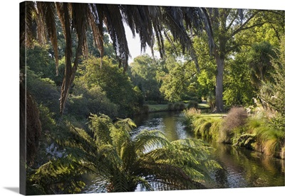 View along the palm-fringed Avon River in Christchurch Botanic Gardens, New Zealand