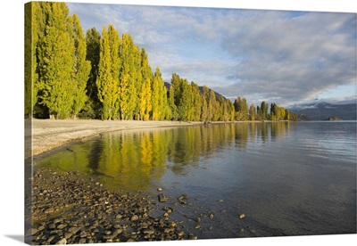 View along the shore of tranquil Lake Wanaka, New Zealand