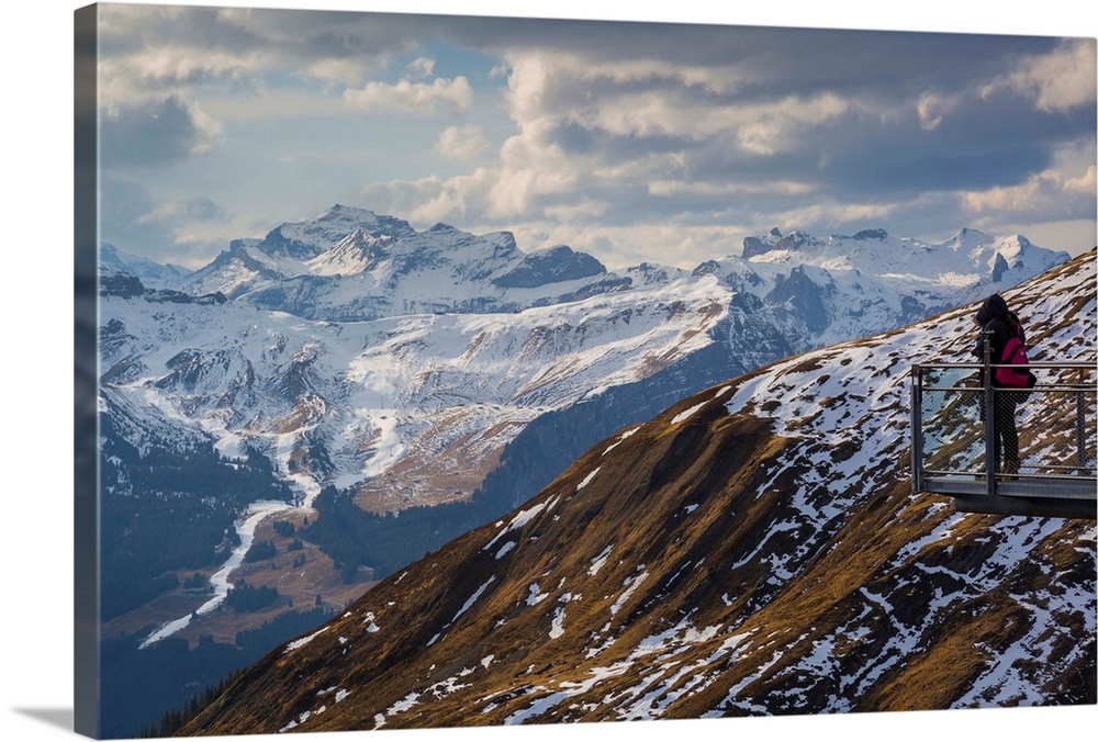 View from Grindelwald First, Jungfrau region, Bernese Oberland, Swiss Alps, Switzerland, Europe