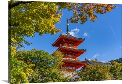 View Of Kiyomizu-Dera Temple And Trees With Autumn Colours, Japan