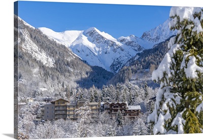 View Of Snow Covered Trees, Courmayeur, Aosta Valley, Italian Alps, Italy