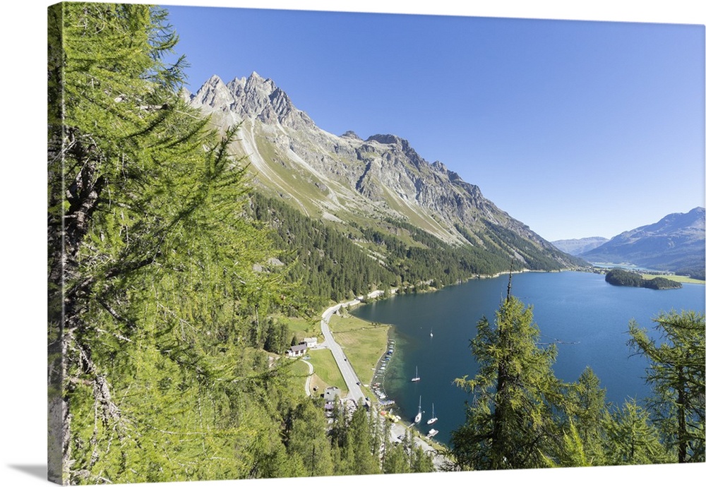 View of the blue Lake Sils from Plaun da Lej, Canton of Graubunden, Engadine, Switzerland, Europe