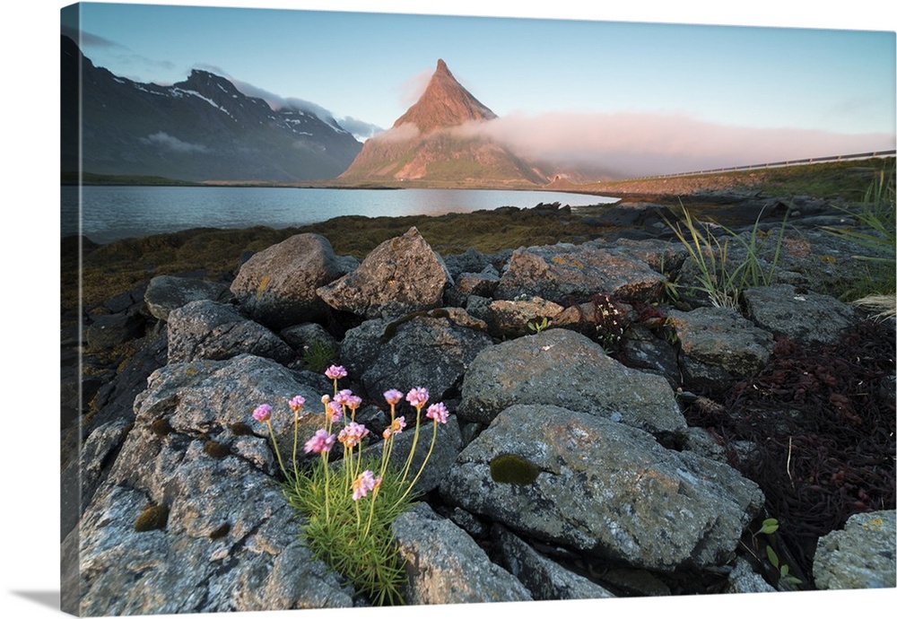 View of the rocky peak of Volanstinden lit by the midnight sun surrounded by sea, Fredvang, Moskenesoya, Lofoten Islands, ...