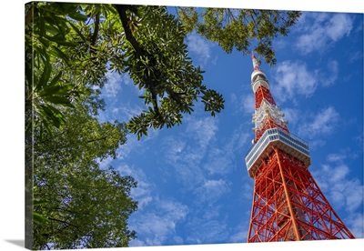 View Of Tokyo Tower, Shibakoen, Minato City, Tokyo, Honshu, Japan