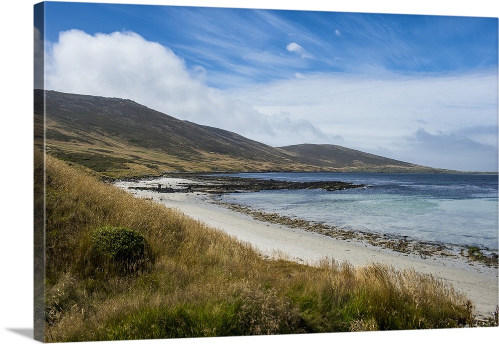View over Carcass Island, Falkland Islands, South America