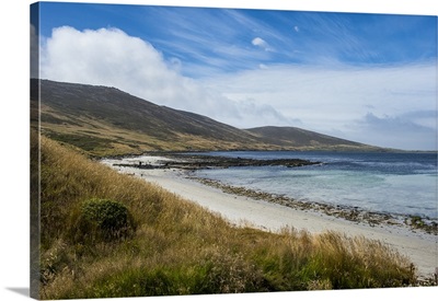 View over Carcass Island, Falkland Islands