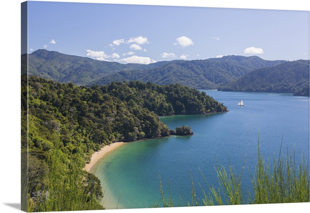 View over Governors Bay and Grove Arm, Queen Charlotte Sound (Marlborough Sounds), near Picton, Marlborough, South Island,...