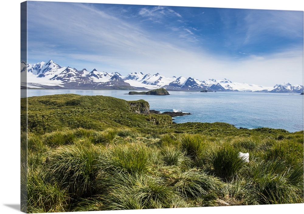 View over Prion Island, South Georgia, Antarctica, Polar Regions