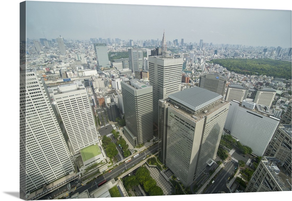 View over Tokyo from the town hall, Shinjuku, Tokyo, Japan
