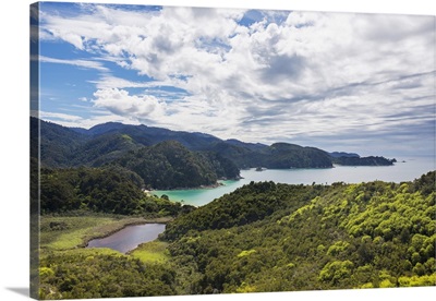 View over Torrent Bay from the Abel Tasman Coast Track, New Zealand