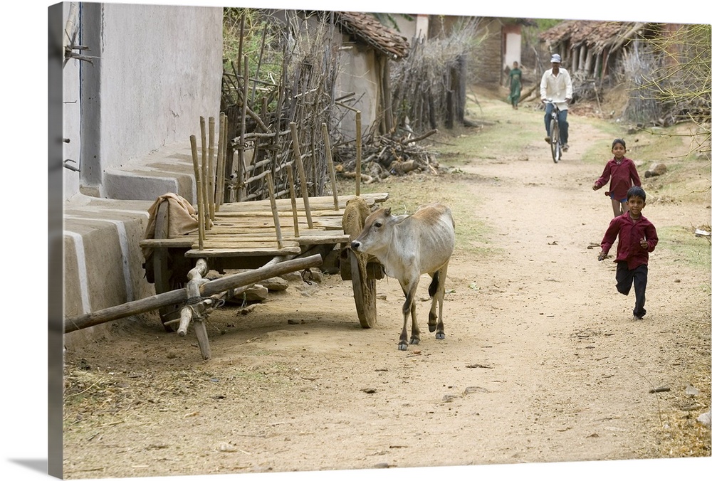 Village, Tala, Bandhavgarh National Park, Madhya Pradesh, India