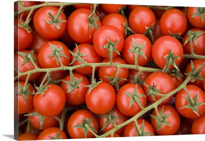 Vine tomatoes in street market, Ortygia, Syracuse, Sicily, Italy