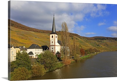 Vineyards and church near Piesport, Moselle Valley, Rhineland-Palatinate, Germany