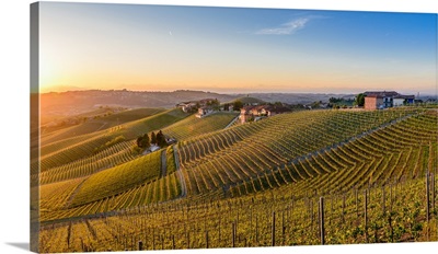 Vineyards at Barbaresco, Piedmont, Italy