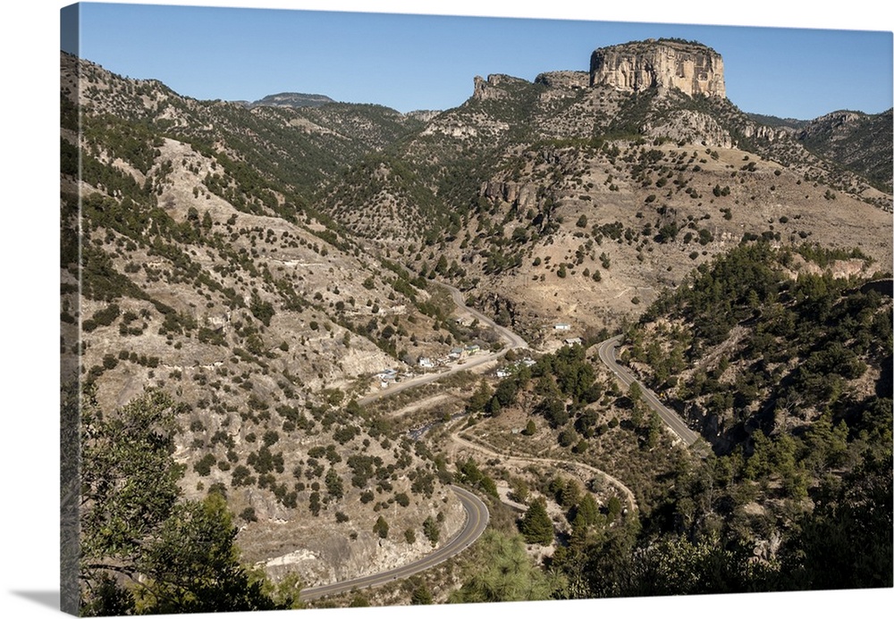 Volcanic plateau of Sierra Tarahumara, above Copper Canyon, Chihuahua, Mexico, North America